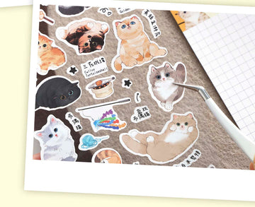 Infeel.me | Pegatinas Cat And Dog Kitten Alert