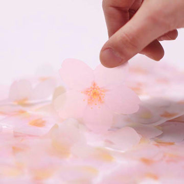 Appree | Notas Adhesivas Cherry Blossom S Pink
