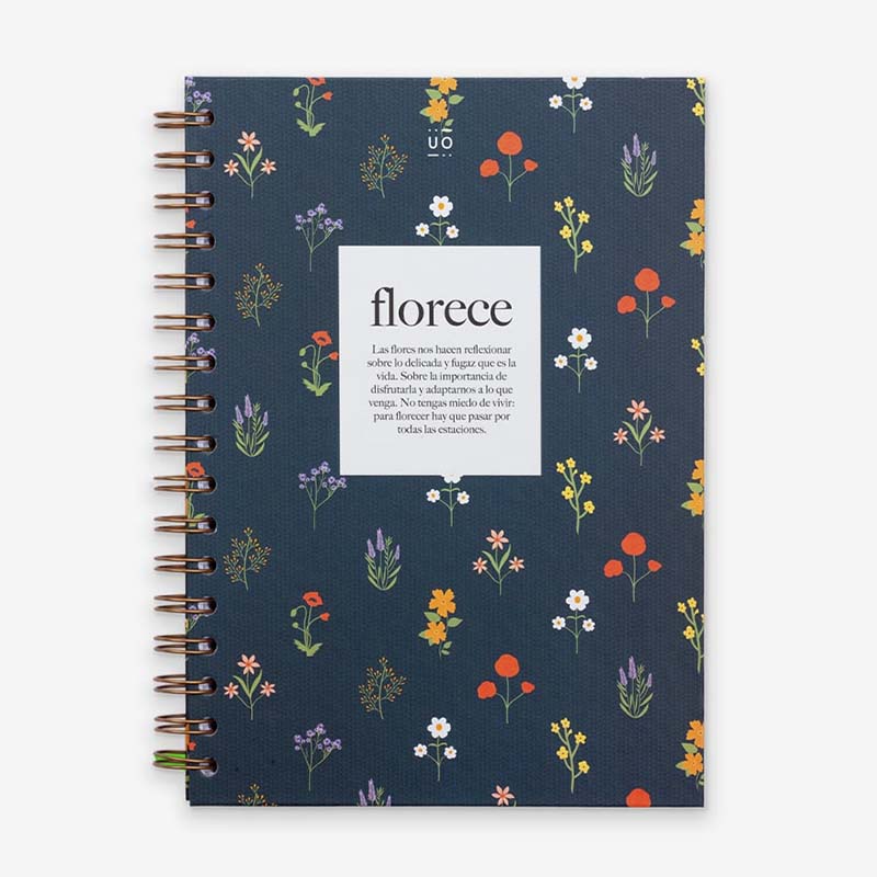 Uo study | A5 notebook blooms (points)