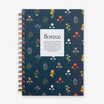 Uo study | A5 notebook blooms (points)