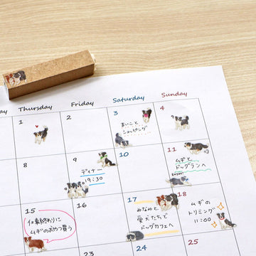 Mind Wave | Pegatinas Doggy Collection Border Collie