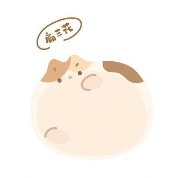 Note For | Notas Adhesivas Flat Cat Calico