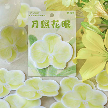 Mo Card | Notas Adhesivas Flowers Today Green