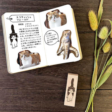 Arte CO | Sello Walking Scottish Fold Cat