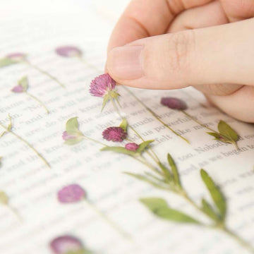 Appree | Pegatinas de Flores Prensadas Globe Amaranth