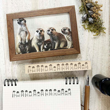 Arte CO | Sello Meerkat in a Row