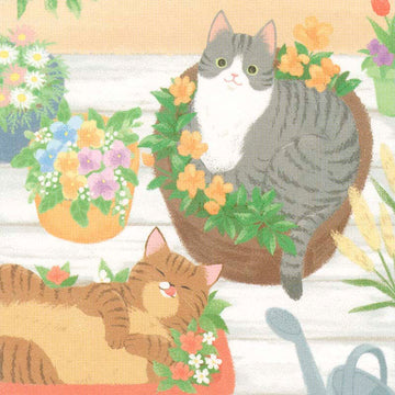 NB CO | Postal Nyan Tomo Hananiwa