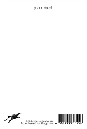 Kenaf | Postal Penguin Freshly Caught