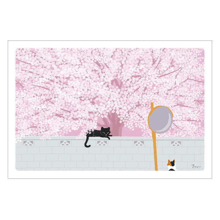 Active | Postal Tabi Neko Spring Under The Cherry Tree