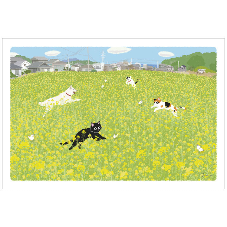 Active | Postal Tabi Neko Spring Field