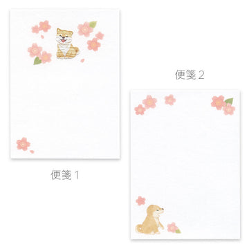 Active | Set de Cartas Mini Mamefumi Shiba
