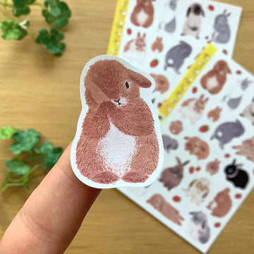 4Legs | Pegatinas Spring Rabbit