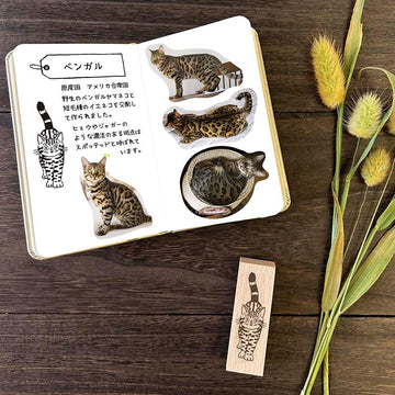 Arte CO | Sello Tiger Cat