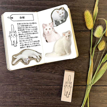 Arte CO | Sello White Cat
