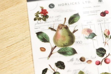 MU LifeStyle | Pegatinas Transferibles 126 Collection Fruit