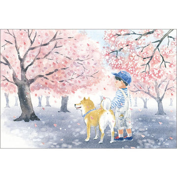 Activate | Sakura Shiba & Boy Postcard