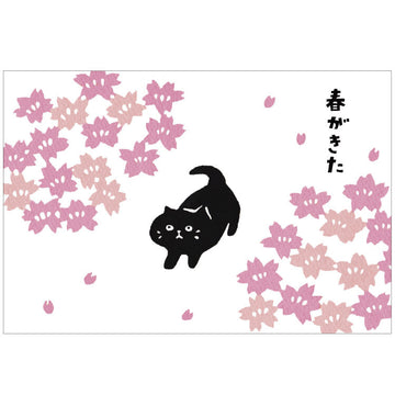 Activate | Haneuta Black Cat in Sakura Postcard