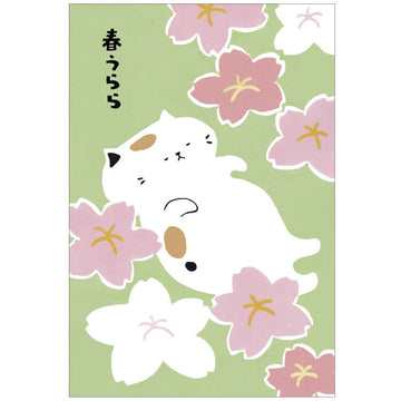 Activate | Haneuta Spring Calico Cat Postcard