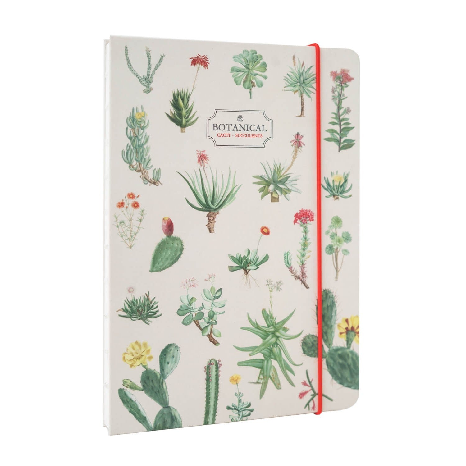 Kokonote | Cuaderno Artesanal A5 Botanical Cacti