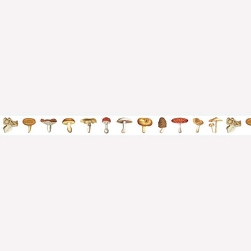 MT Masking Tape | Washi Tape